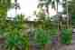 render renovation tropical darwin forrest building co